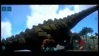 Titanosaur Sighting 