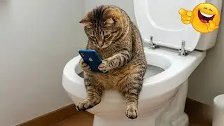 🐾 Laugh Out Loud with the CRAZIEST Pet Moments Ever 2026 🐟😆