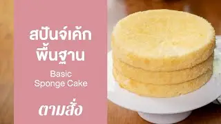 เค้กสปันจ์พื้นฐาน Basic Sponge Cake