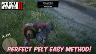 Red Dead Redemption 2 - Easy method to get perfect pelt. Real Easy!