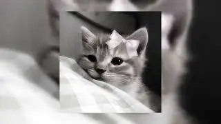 Пошлая Молли - Прокля Табыла (speed up)