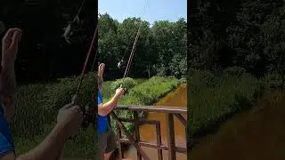 RBG Hendrie Valley Sanctuary | Urban Fishing Locations