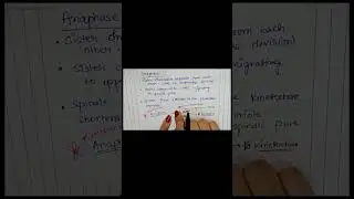 Mitosis: How Sister Chromatids Separate [Anaphase]
