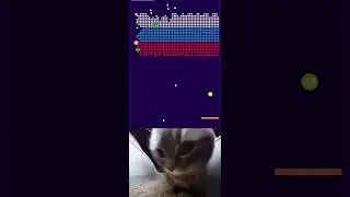 понг и котики