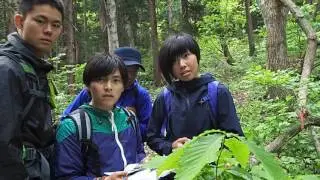 自然　環境　植物　里山　学ぶ　（樹木学習・ミズナラとコナラの違い）