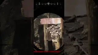 Krag Sniper is satisfying👍 #hunthighlights#huntshowdown #gaming