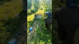 Testing 5 air pistols at 10 meters #accuracy #airguns #challenge