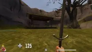 DISC-FF in a Nutshell