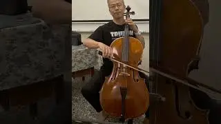 Day 25 Toss the Feathers /the Corrs cello practice bar 9 to 18 part 2