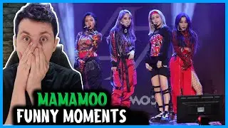 REAGINDO A MAMAMOO FUNNY MOMENTS