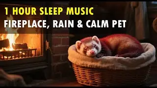 1 Hour Sleep Music &ndash; Fireplace, Rain & Calm Pet