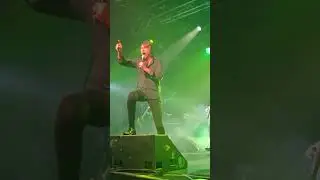 Suede - Animal Nitrate - Lincoln - 09/02/2026