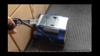 Alphakleen Services Singapore - Professional Office Carpet Deep Cleaning
