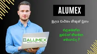 Alumex (ALUM) දැන් undervalued සමාගමක්ද ? Is ALUM now undervalued stock ? | SL Equity Guide