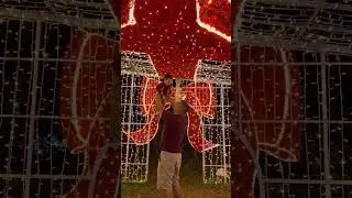 Last minute Christmas walk in downtown #chrismtaslights