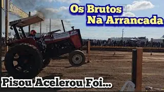Só Os Brutos 6° Arrancada De Tratores Ermo-Sc