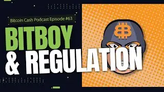 Bitboy & Regulations