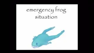 emergency frog situation