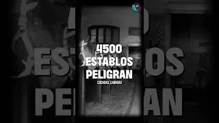Un kuka en el 1900 🤣 As&iacute; de rid&iacute;culos se ven los que siempre se oponen a los cambios - DEJA VU