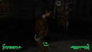 Fallout New Vegas intended experience: