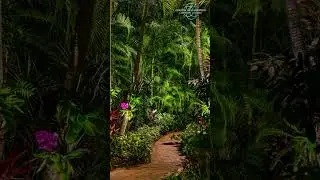Garden Lighting by Coastal Illumination - Moonlit Elegance - Palm Beach Gardens