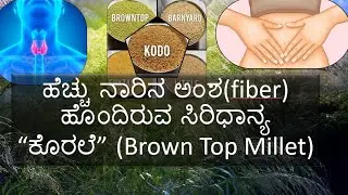 ಸಿರಿಧಾನ್ಯ korale|brown top millet|siridhanya|kannada health tips|medicinal plants