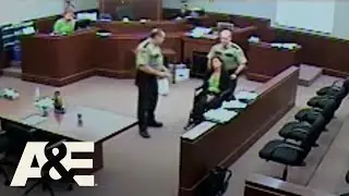 Court Cam: ATTORNEY Arrested & Handcuffed to Wheelchair for Courtroom Behavior | A&E