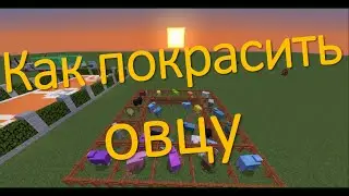 Как покрасить овцу в Майнкрафт | FsOne