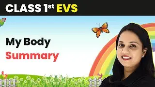 My Body - Summary | Class 1 EVS