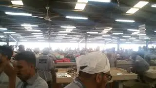 Dubai old fish market - 01