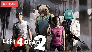 Surviving The Many Chapters of L4D2 w/ Chat!