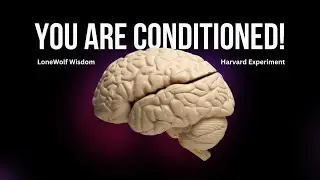 Automatic behavior EXPLAINED through an Experiment.