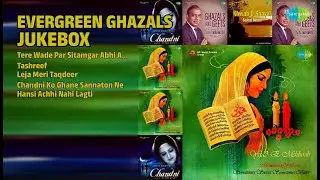 یادگار غزلیں جوک باکس | Chitra Singh Songs | Tere Wade Par Sitamgar Abhi Aur Sabr | Tashreef