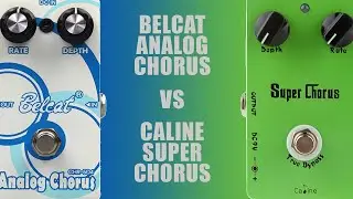 Caline Super Chorus VS Belcat Analog Chorus