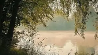 A calm playlist for reading by the river
