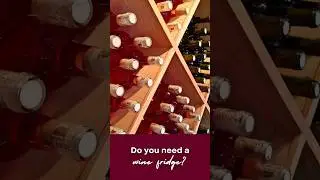 Do You Need a Wine Fridge?
