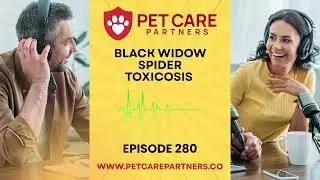 EP 280: Black Widow Spider Toxicosis in Pets: Pet Care Partners Podcast
