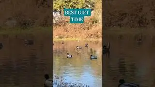 God&rsquo;s Gift of Time Retired Enjoying the Gifts #retirewithpurpose