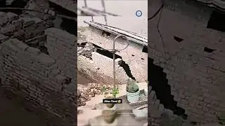 Bihar Flood 2025😓Lives Lost, Homes Destroyed | Heartbreaking Ground Reality #bihar #flood #biharnews