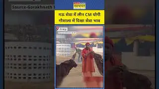 Gorakhpur: गऊ सेवा में लीन CM योगी, गौशाला में दिखा सेवा भाव #cmyogi #upnews #gorakhnath