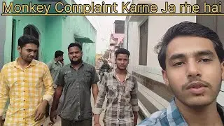 Monkey Complaint karne ja rhe hai || 🐒🐒
