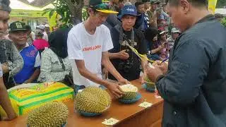 Kontes Durian Lokal Kecamatan Doro Kabupaten Pekalongan Tahun 2024