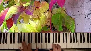 Pachelbel -  Canon in D - Arr. von Bobby Cyr - (Silvi F. - Piano)
