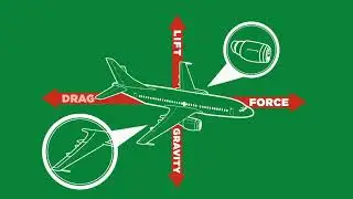 How Do Birds Fly?