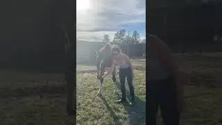 Forrrest and Sam first clicker
