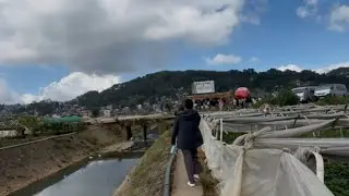 Strawberry Farm La Trinidad Benguet