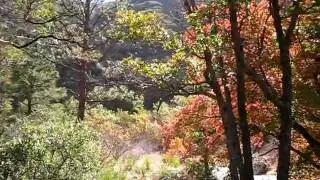 McKittrick_Canyon.avi