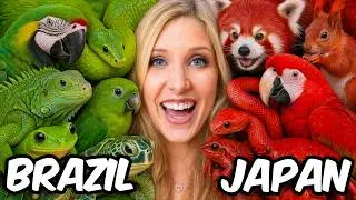 I Adopted Animals From Around the World!
