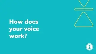 How does your voice work?