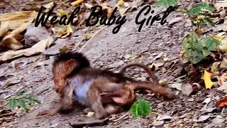 Heidi is  very Weak, She Leaves Mom Walking Fall So Sad To See Heidi In Situation